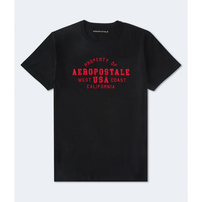 Aeropostale USA Applique Graphic Tee