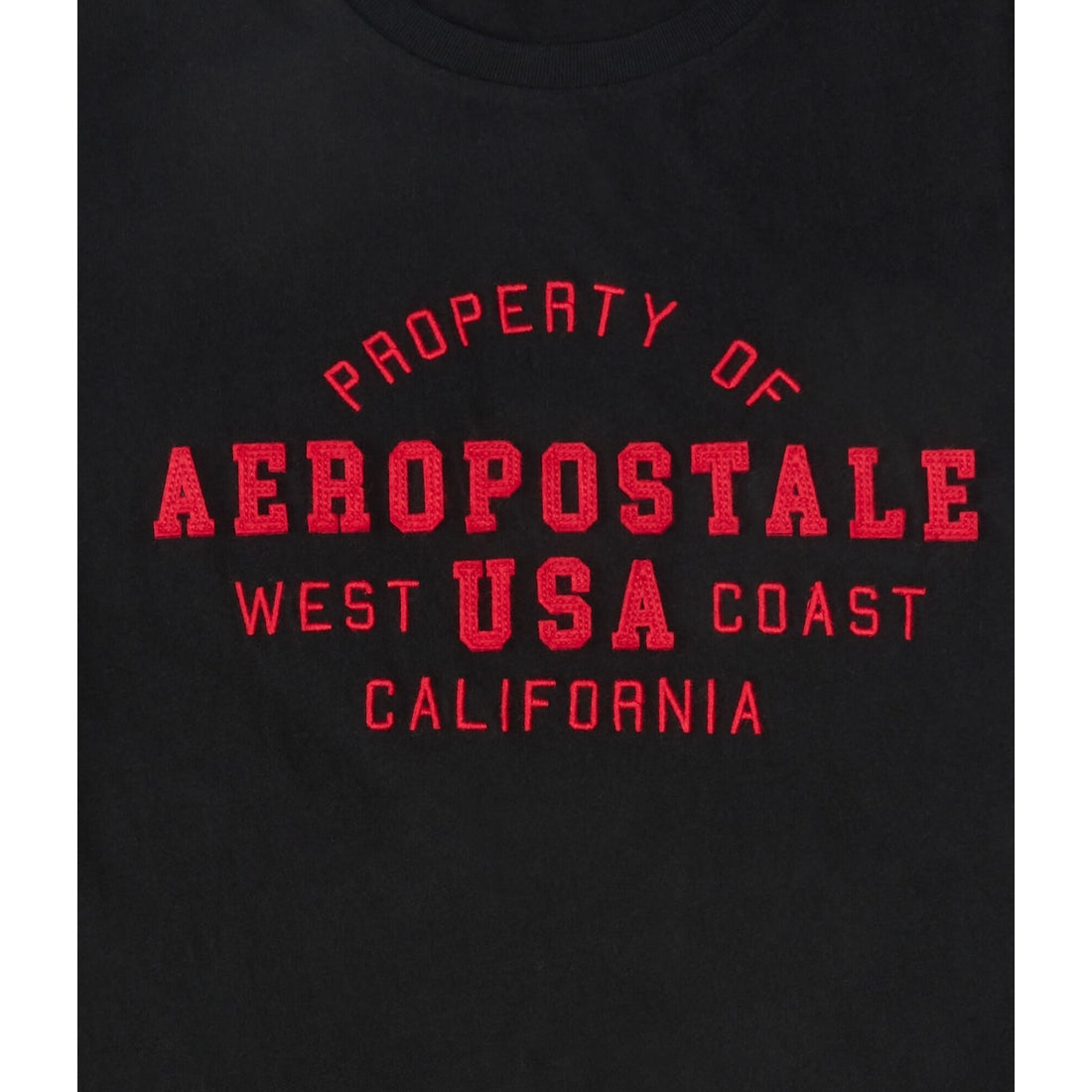 Aeropostale USA Applique Graphic Tee