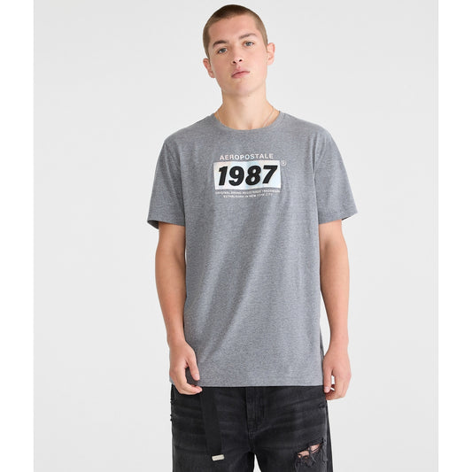 Aeropostale Mens' Aeropostale 1987 Box Logo Applique Graphic Tee