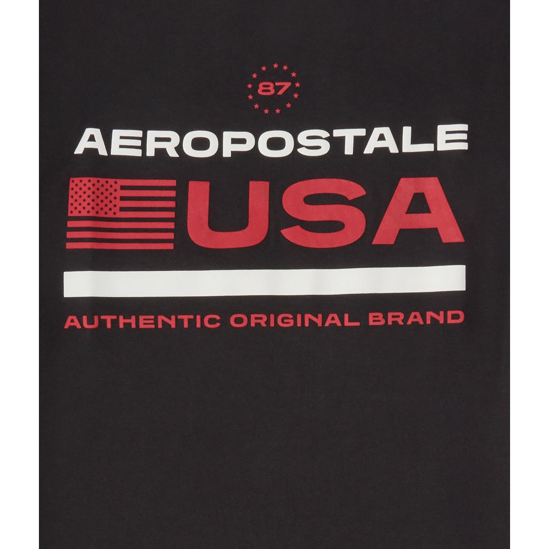 Aeropostale USA Flag Graphic Tee