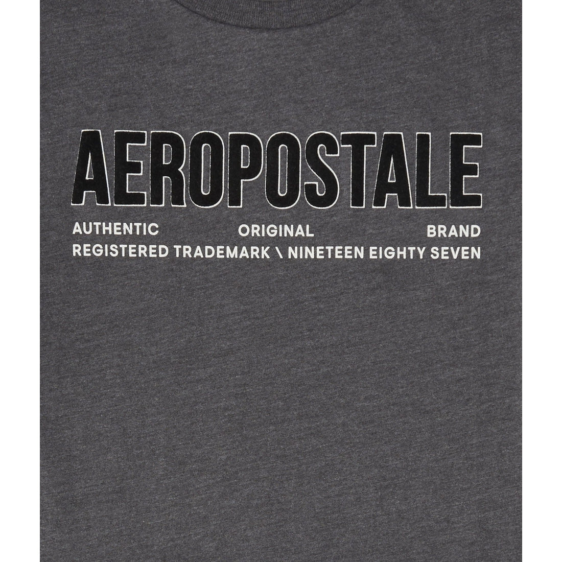Aeropostale Authentic Logo Flocked Graphic Tee