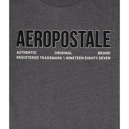 Aeropostale Authentic Logo Flocked Graphic Tee