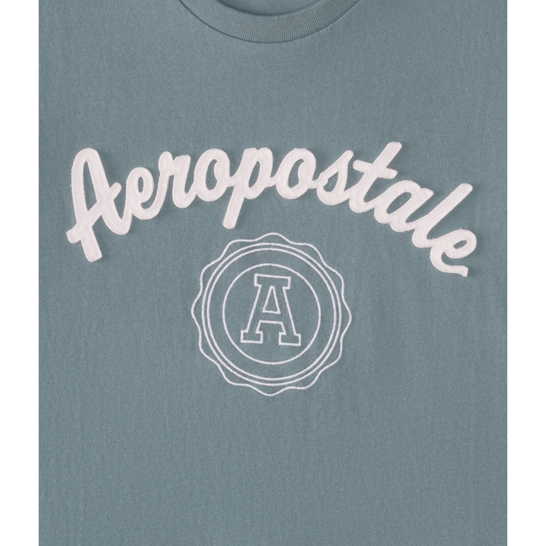 Aeropostale Crest Applique Graphic Tee