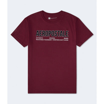 Aeropostale Authentic Logo Flocked Graphic Tee