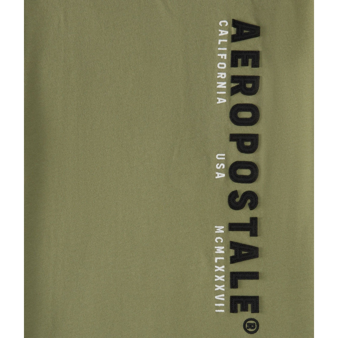 Aeropostale Vertical Logo Applique Graphic Tee