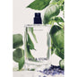 Neroli & Basil Body Mist by SALT & STONE