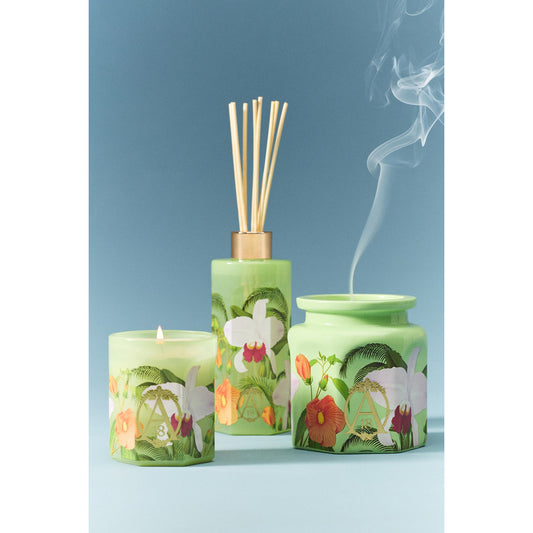 Apothecary 18 Floral Orchid & Amber Glass Reed Diffuser by Anthropologie