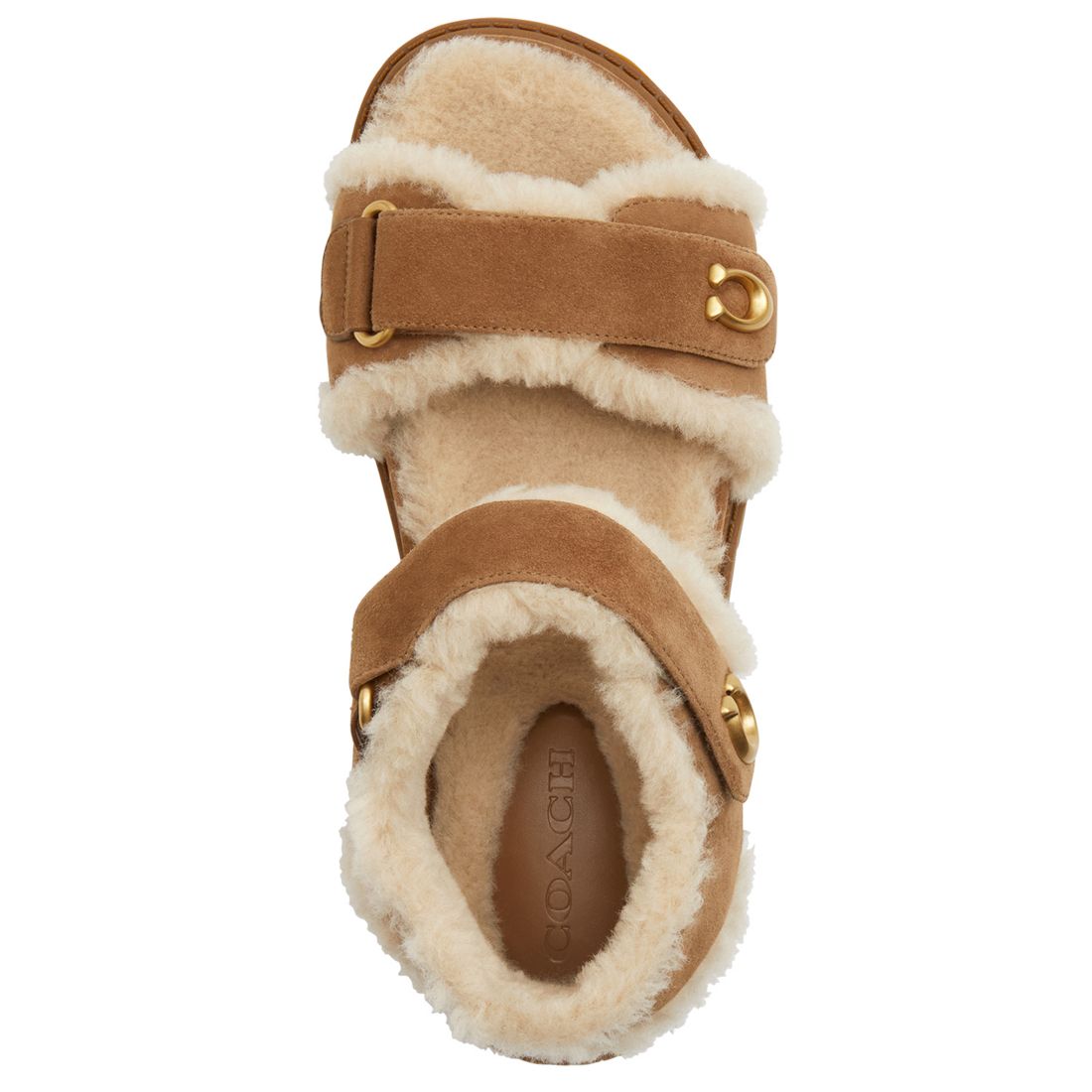 Coach Women's Brynn Round Toe Sandals
