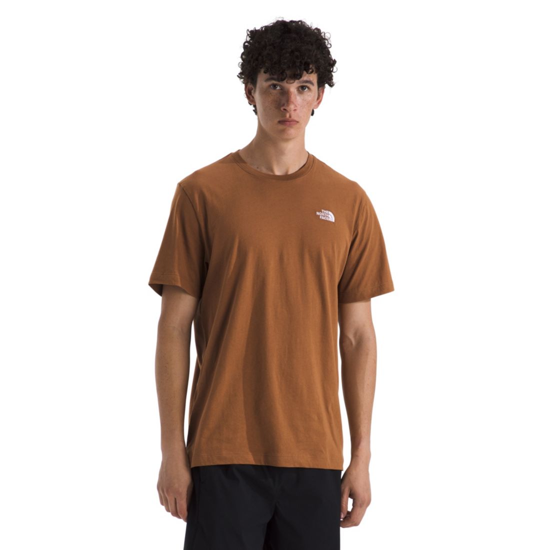 The North Face Men's Evolution Simple Dome Short Sleeve T-Shirt