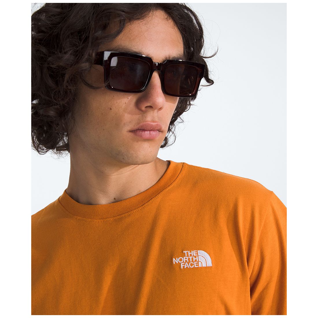 The North Face Men's Evolution Simple Dome Short-Sleeve T-Shirt