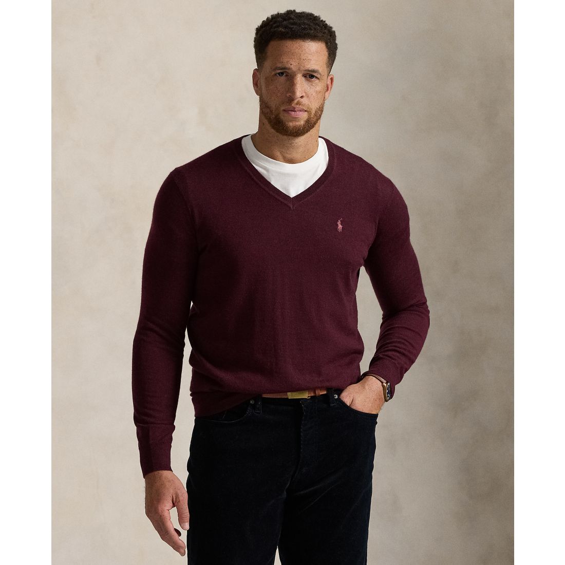 Polo Ralph Lauren Men's Big & Tall Washable Wool V-Neck Sweater