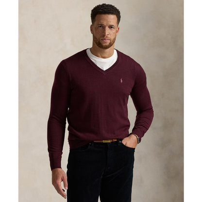 Polo Ralph Lauren Men's Big & Tall Washable Wool V-Neck Sweater