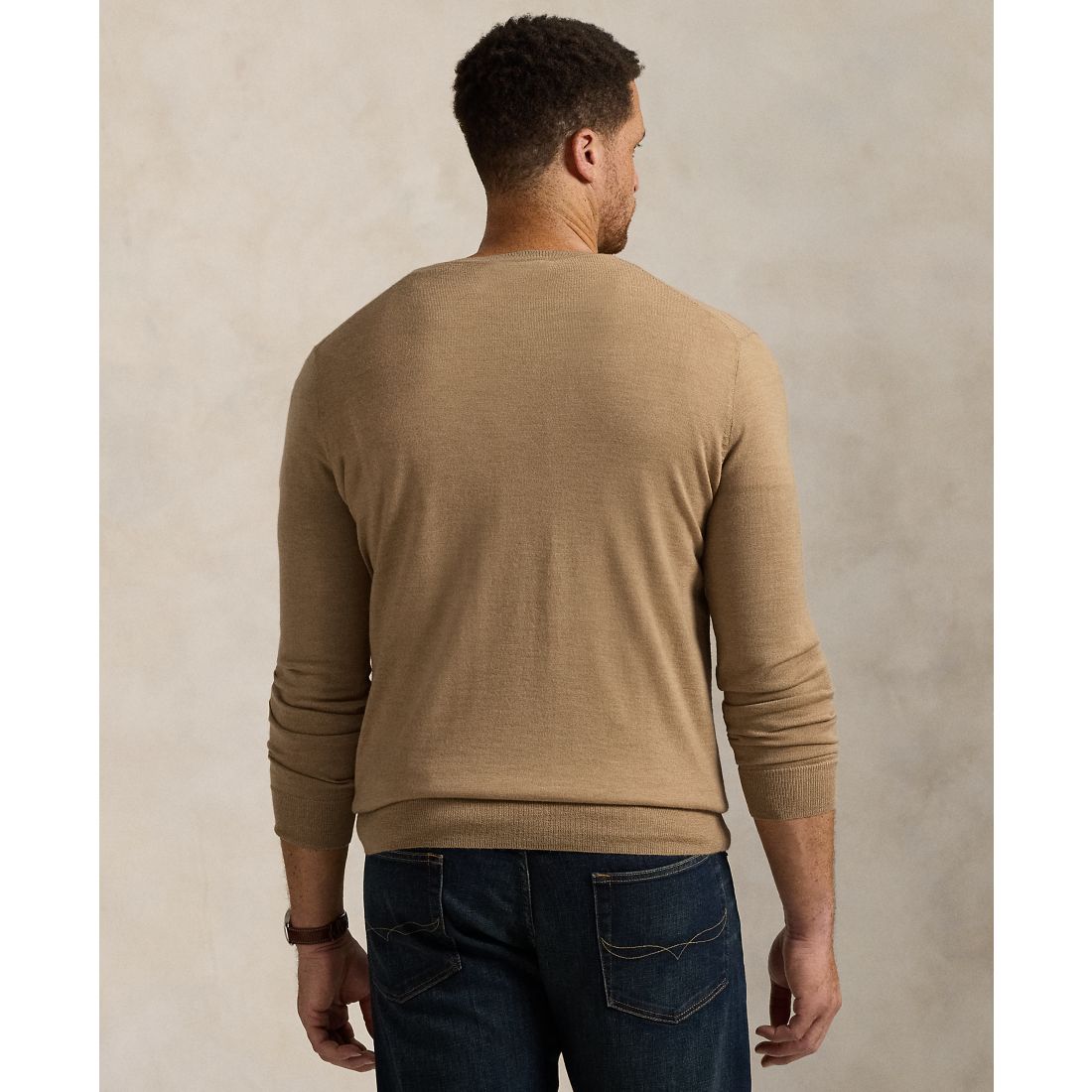 Polo Ralph Lauren Men's Big & Tall Washable Wool V-Neck Sweater