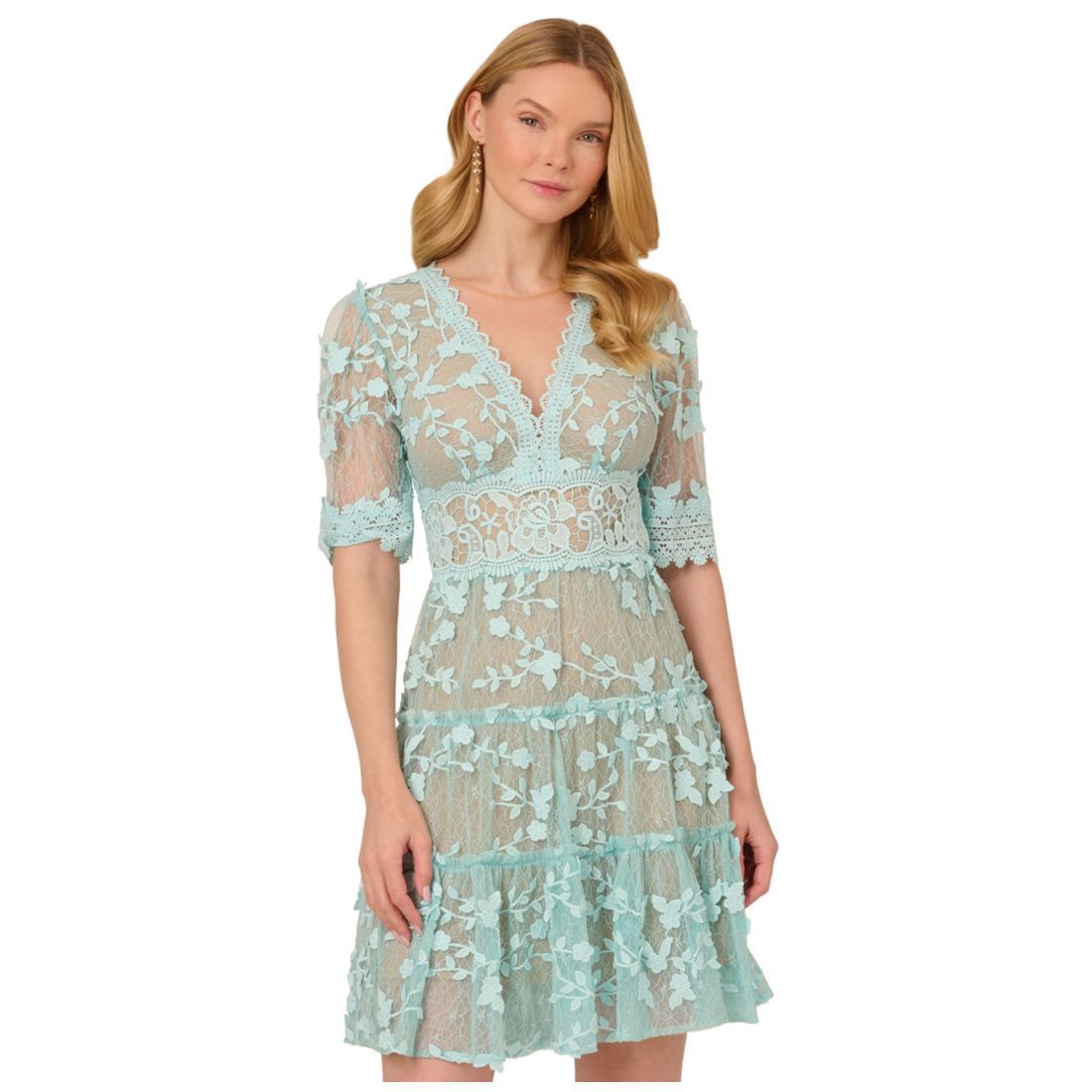 Adrianna Papell Women's V-Neck Lace Embroidery Dress