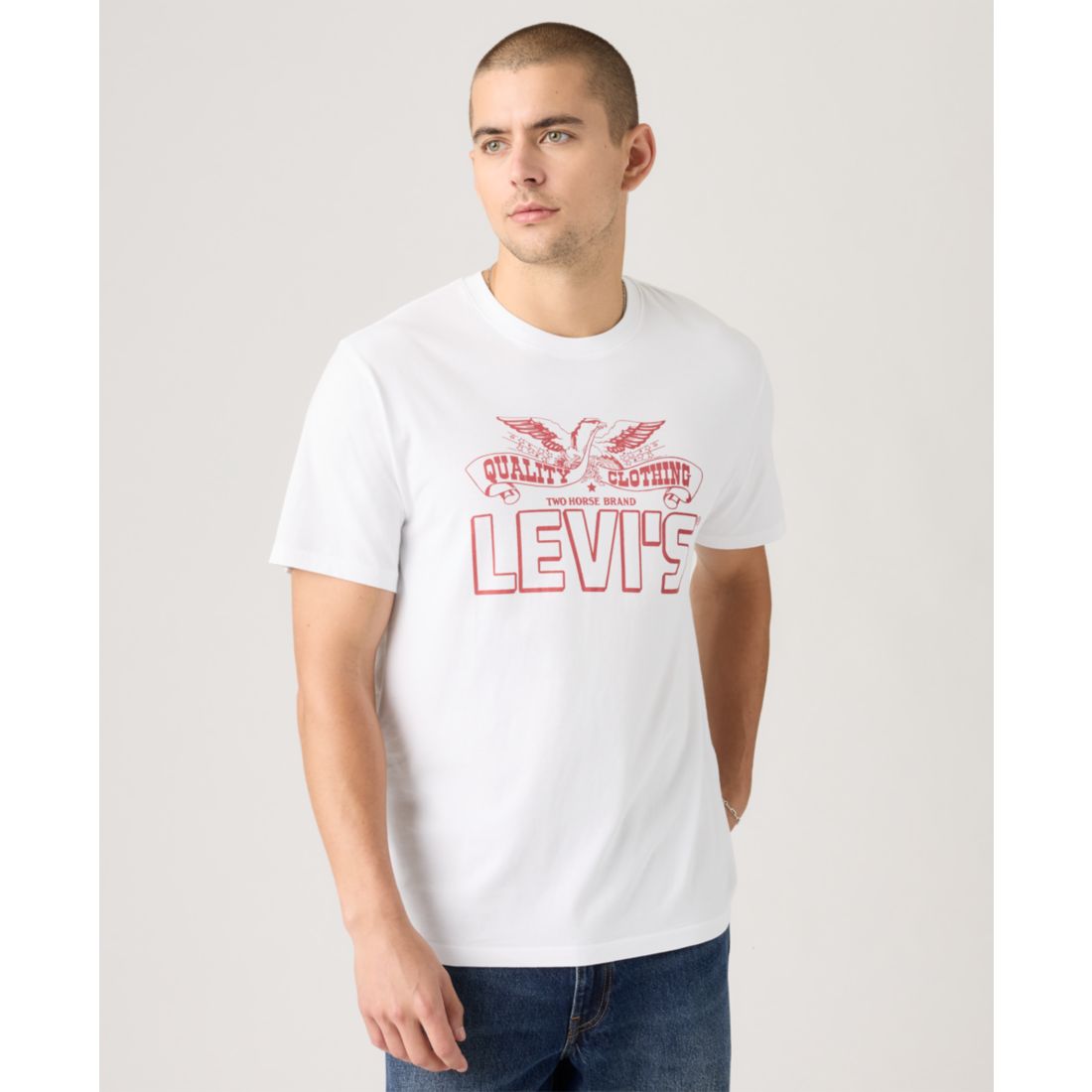 Levi's Men's Classic Short Sleeve Graphic Crewneck T-Shirt