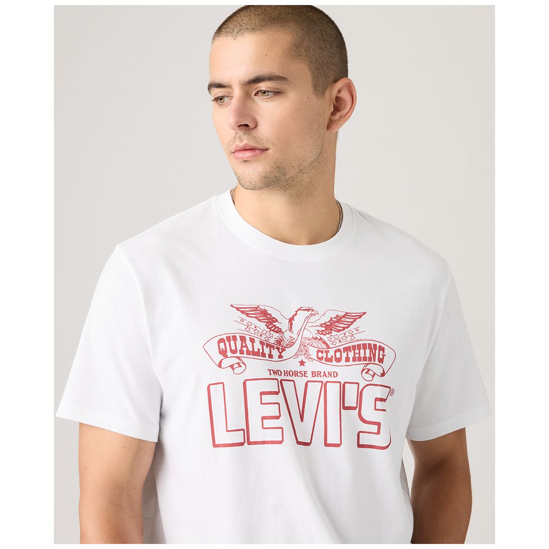 Levi's Men's Classic Short Sleeve Graphic Crewneck T-Shirt