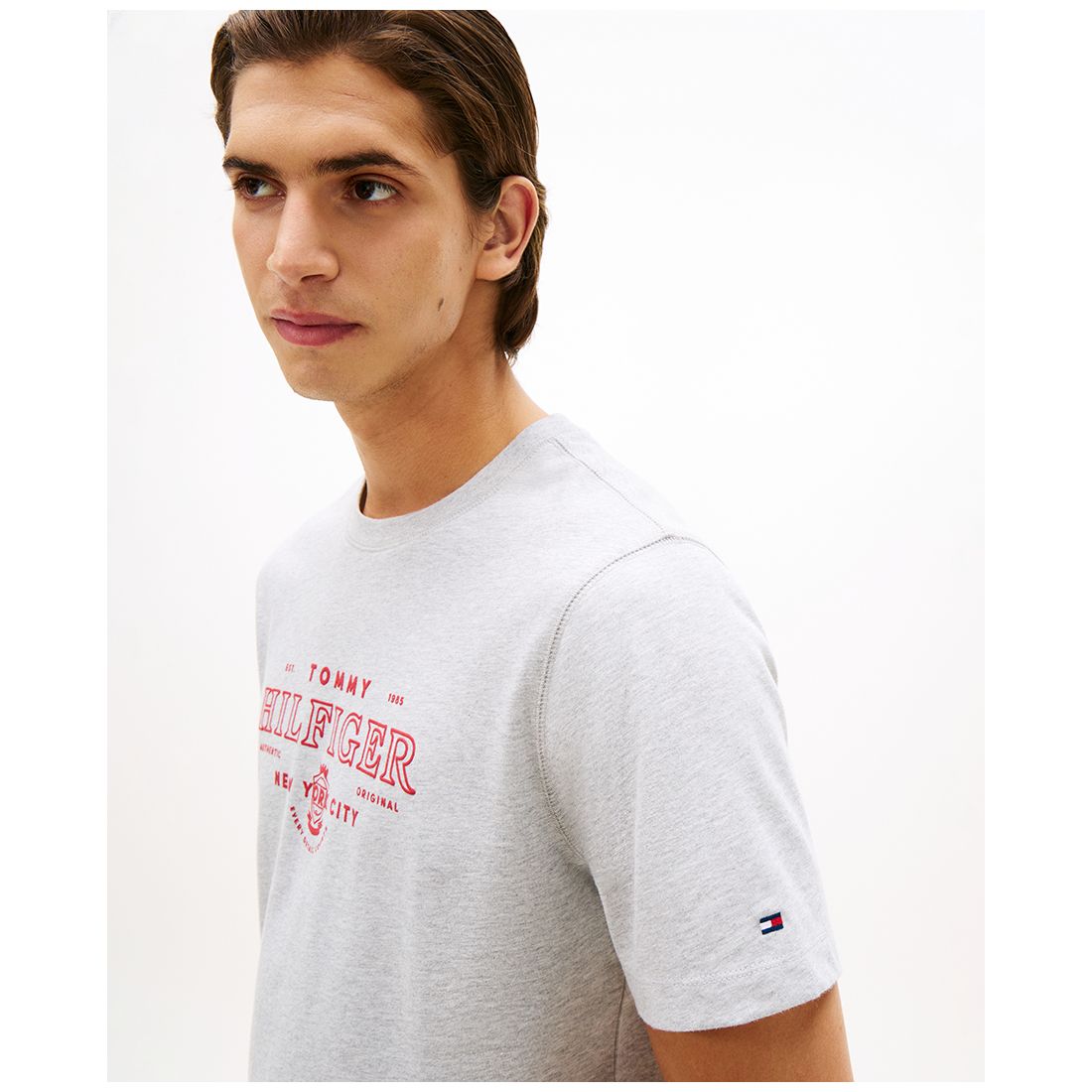 Tommy Hilfiger Men's Heritage Graphic Crewneck T-Shirt