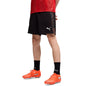 Puma Men's Soccer Shorts