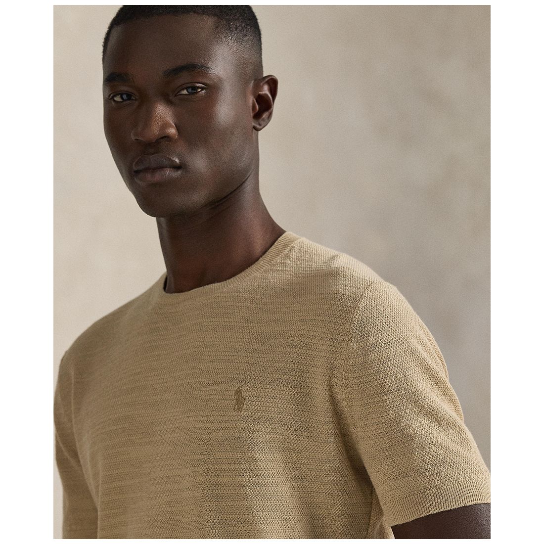 Polo Ralph Lauren Men's Textured Lightweight Sweater T-Shirt