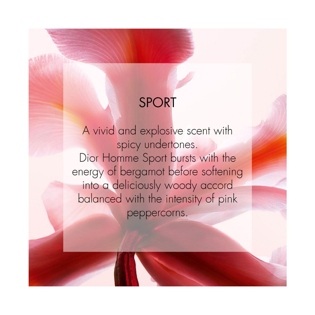 Dior Homme Sport Eau de Toilette Spray, 4.2 oz.