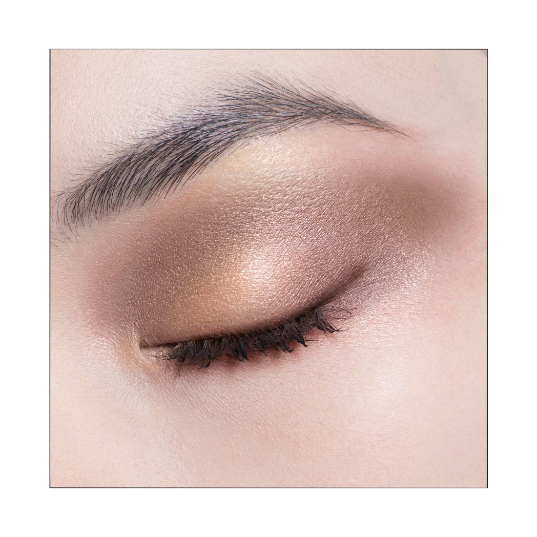 Dior Diorshow 5 Couleurs Couture Eyeshadow Palette