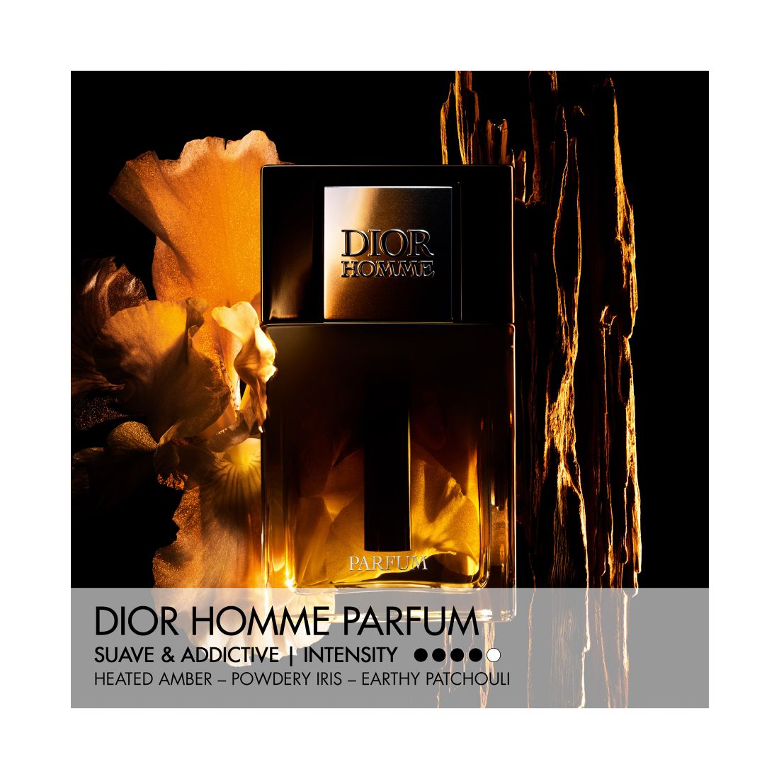 Dior Men's Homme Parfum, 2.5 oz.