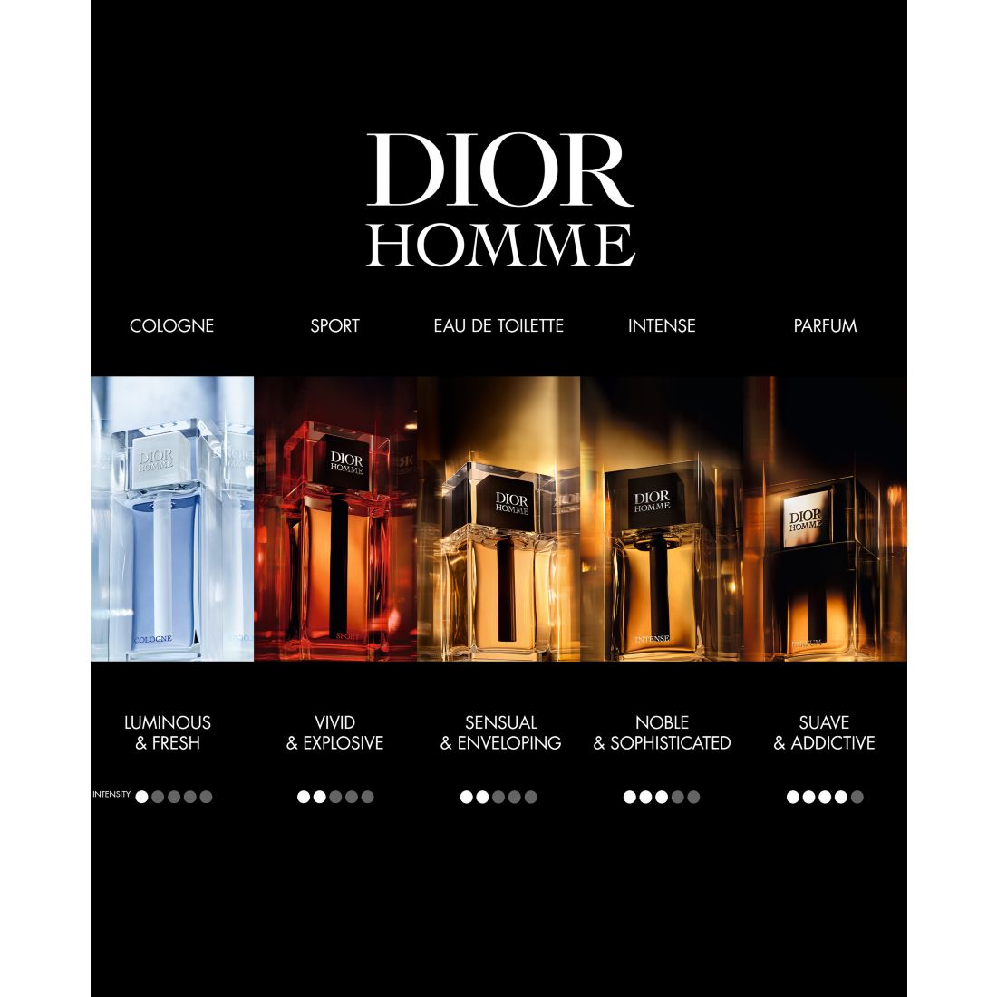 Dior Men's Homme Parfum, 2.5 oz.