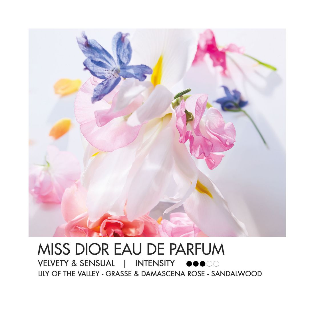 Dior Miss Dior Eau de Parfum Mini Miss Solid Perfume, 0.11 oz.