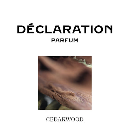 Cartier Men's Declaration Parfum Spray, 3.3 oz.