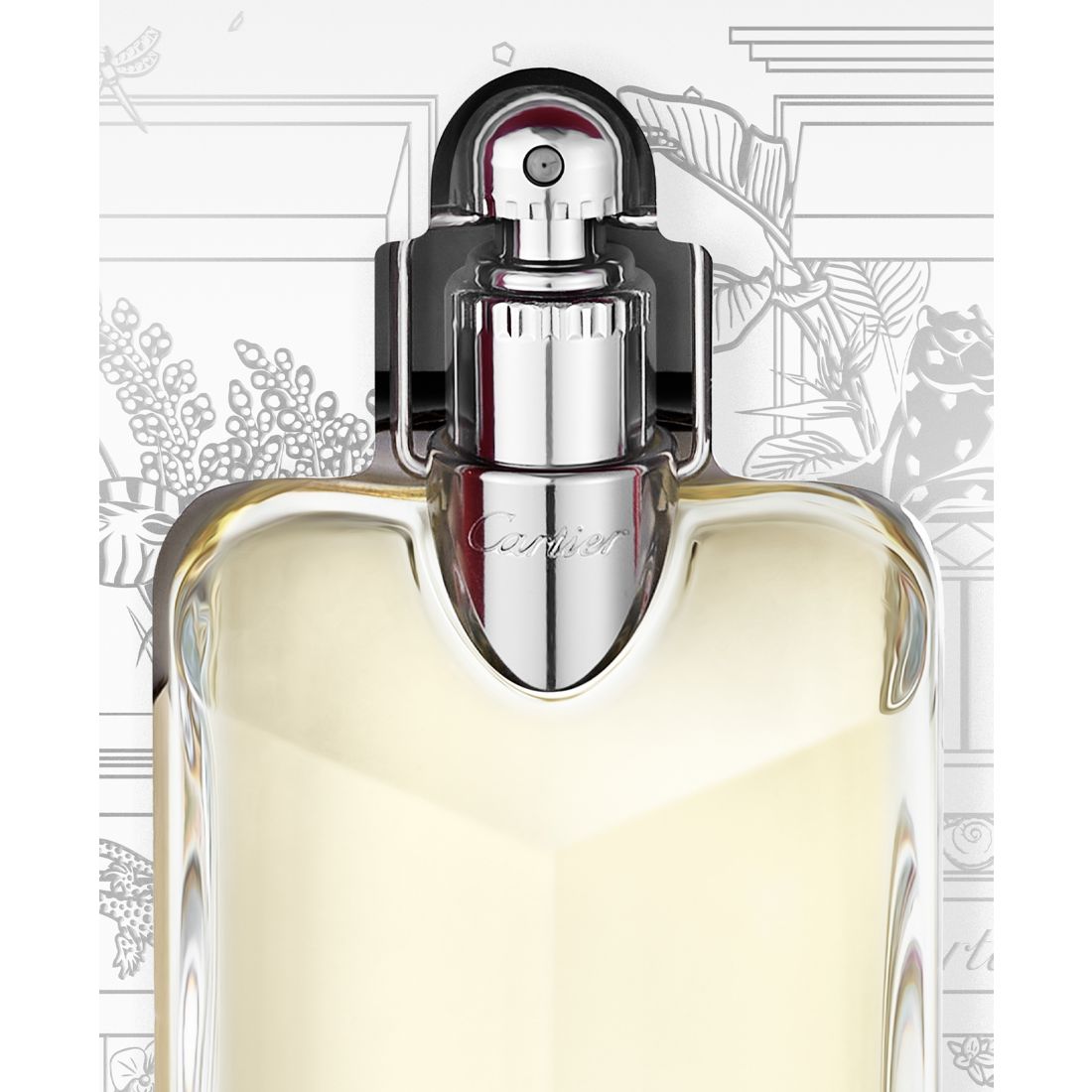 Cartier 2-Pc. Declaration Eau de Toilette Gift Set