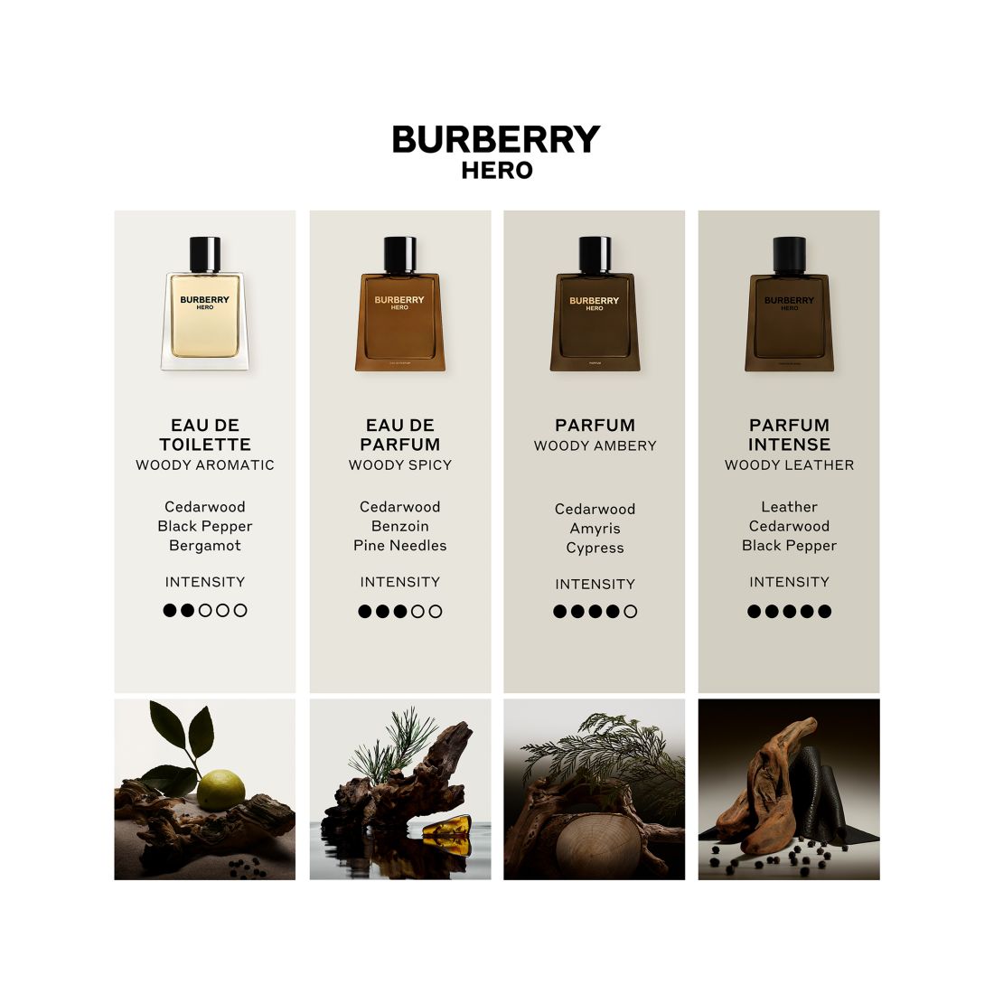 Burberry Men's Hero Eau de Parfum, 3.3 oz.