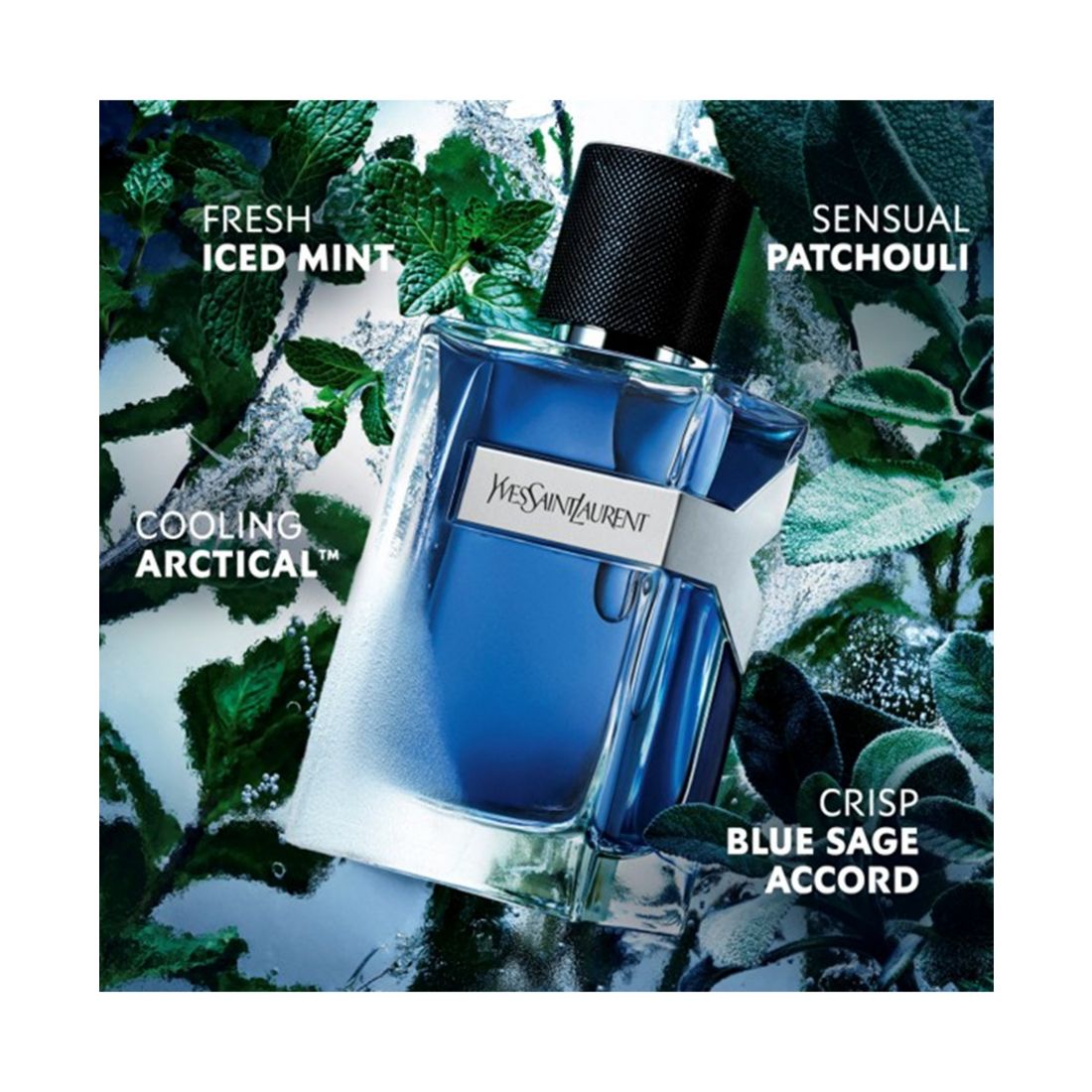 Yves Saint Laurent Men's Y Iced Cologne Eau De Toilette Intense, 3.3 oz.