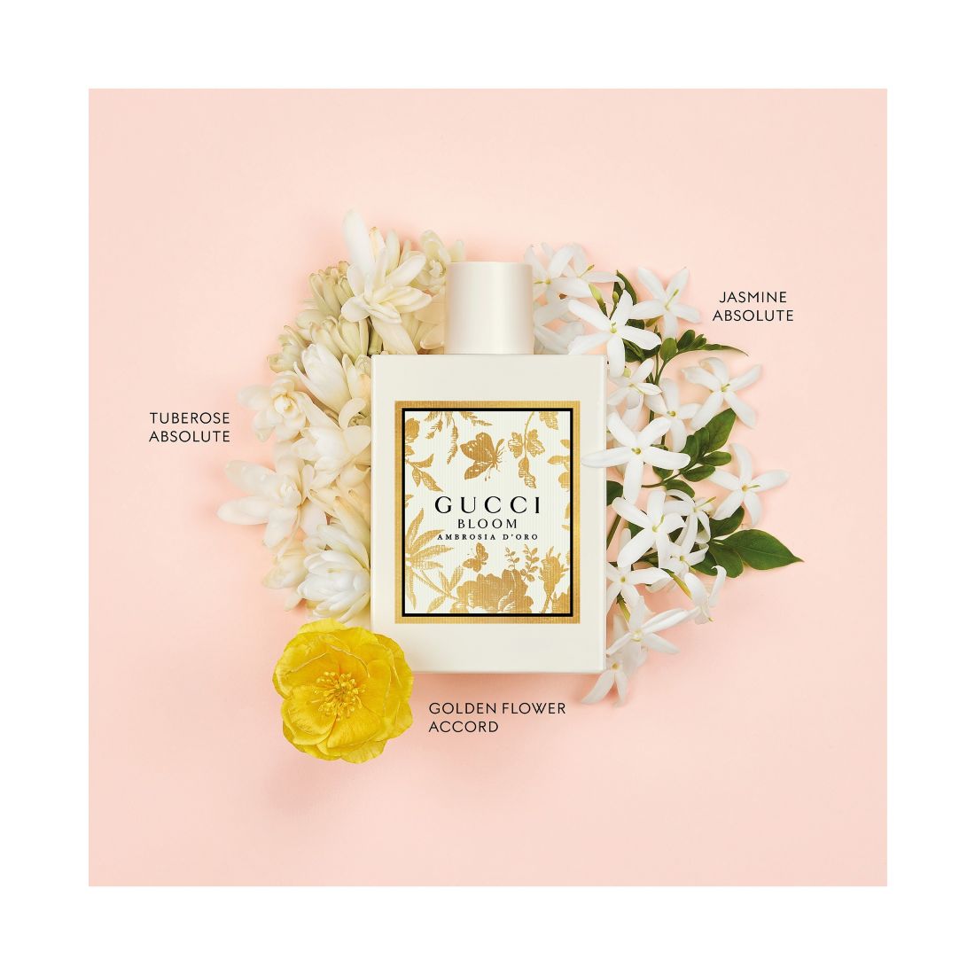 Gucci Bloom Ambrosia d'Oro Eau De Parfum, 3.3 oz.