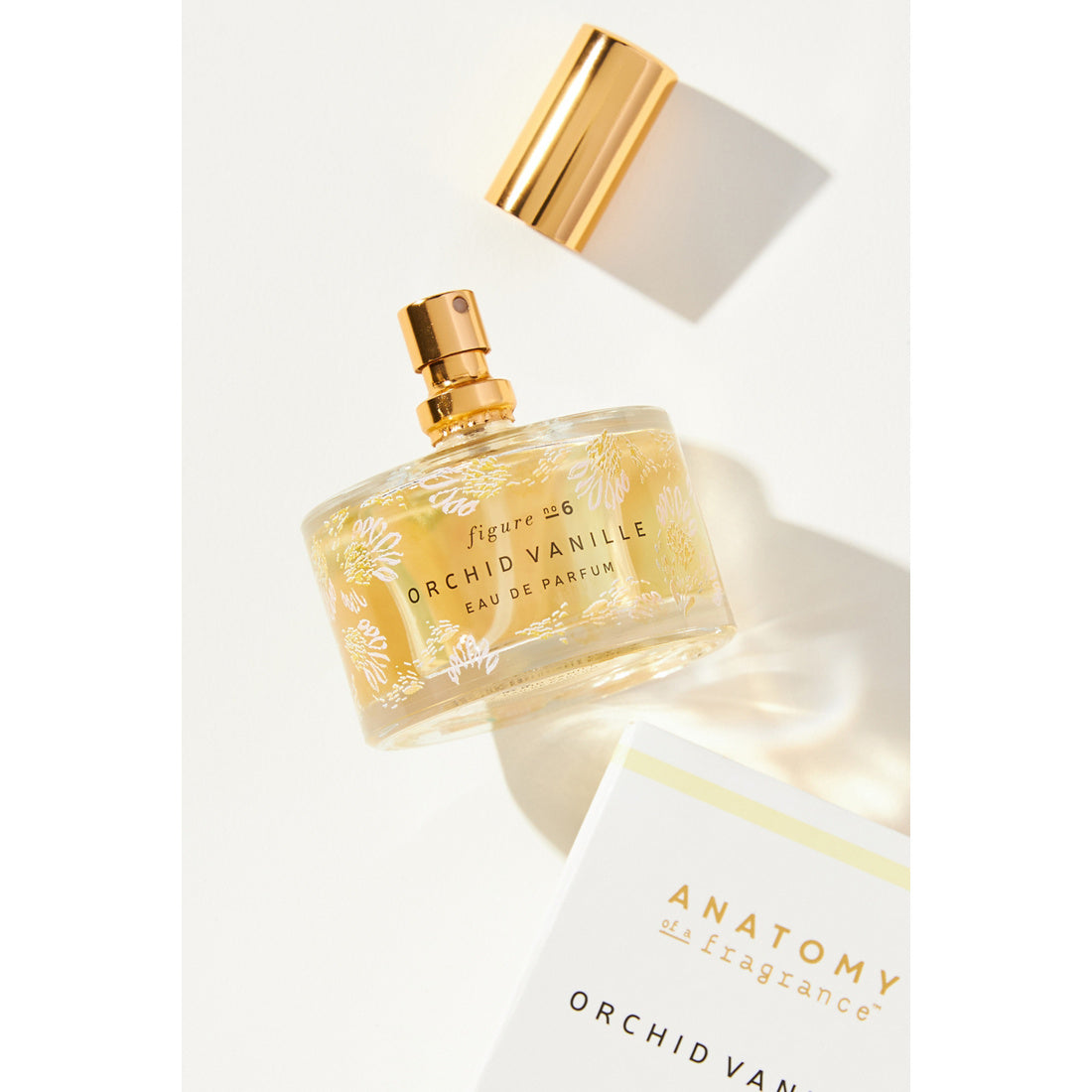 Anatomy of a Fragrance Eau De Parfum by Illume