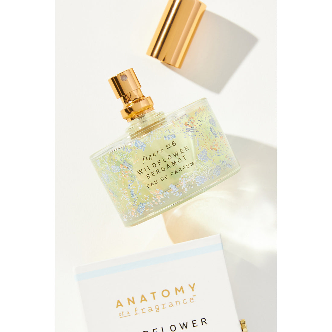 Anatomy of a Fragrance Eau De Parfum by Illume