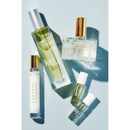 Anatomy of a Fragrance Eau De Parfum by Illume
