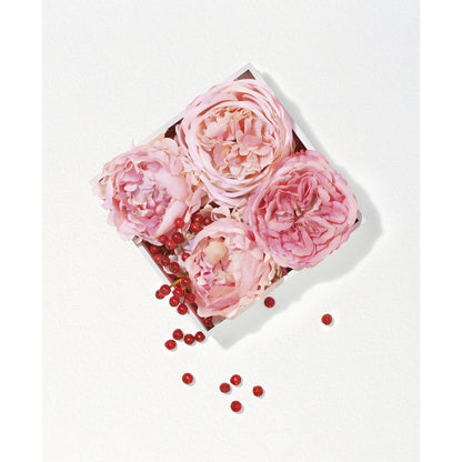Lancome Miracle Eau De Parfum Fragrance Collection
