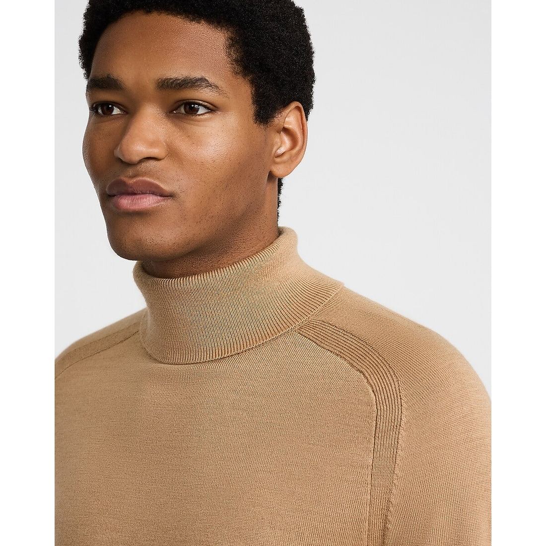 Turtleneck Everyday Performance Merino Wool Sweater