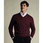 Charles Tyrwhitt Men's V-Neck Regular-Fit Sweater