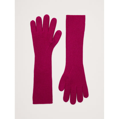 Signature Cashmere Long Gloves