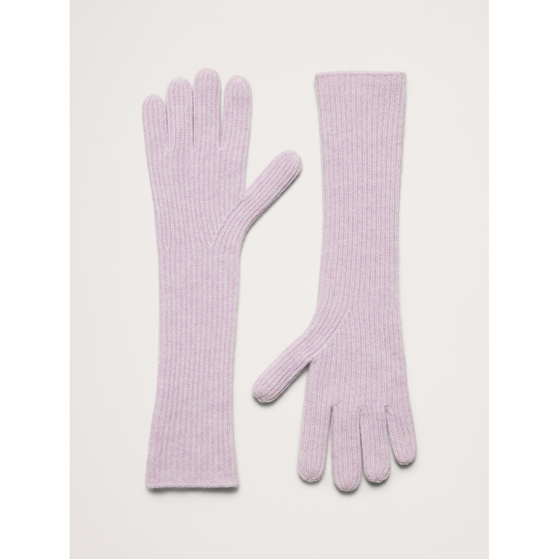 Signature Cashmere Long Gloves
