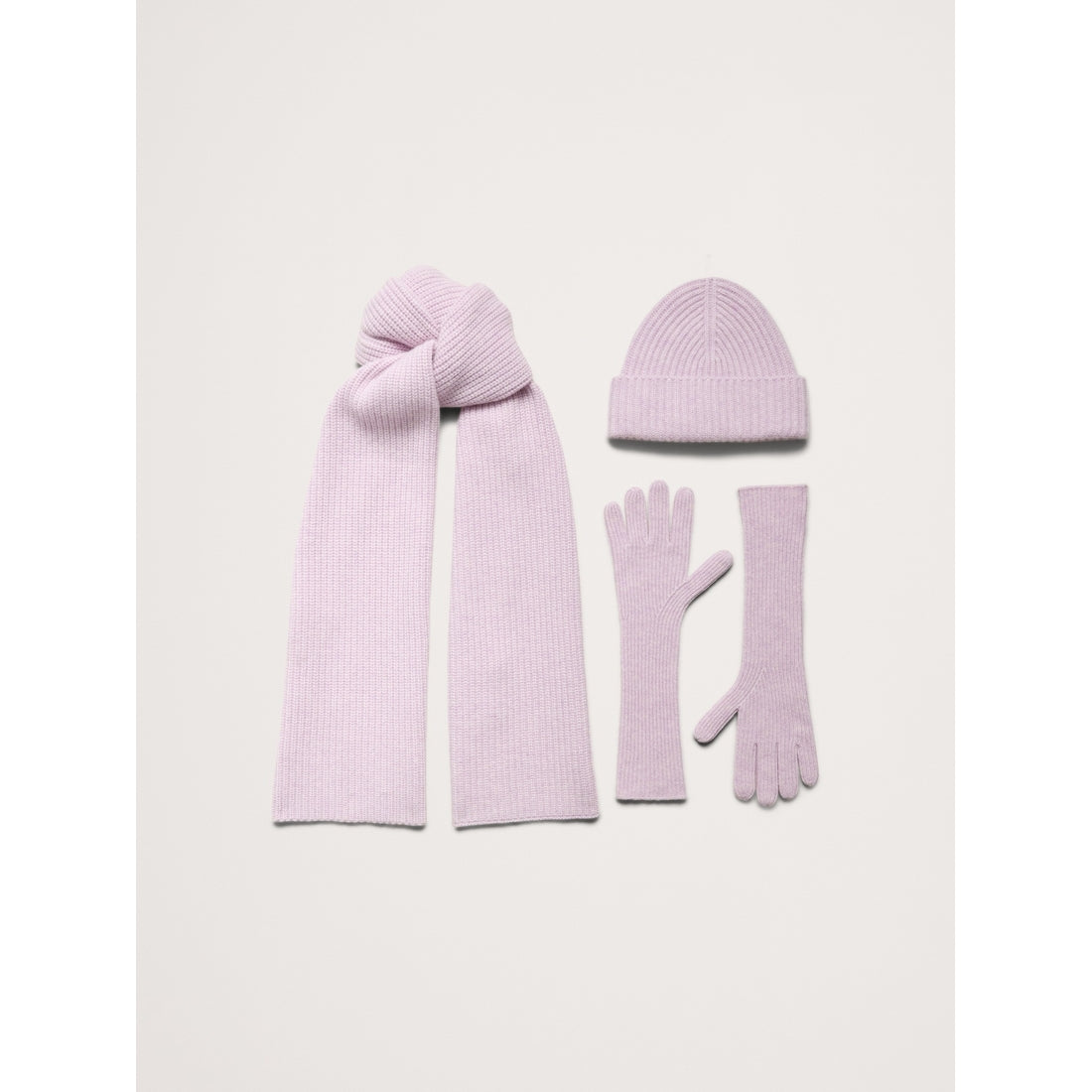 Signature Cashmere Long Gloves