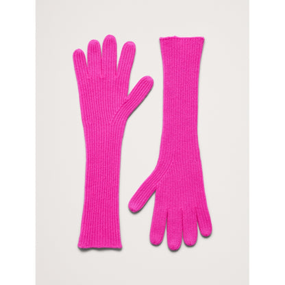Signature Cashmere Long Gloves