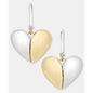 Dkny Dynamic Heart Drop Earrings