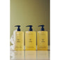 Body Wash by SALT & STONE