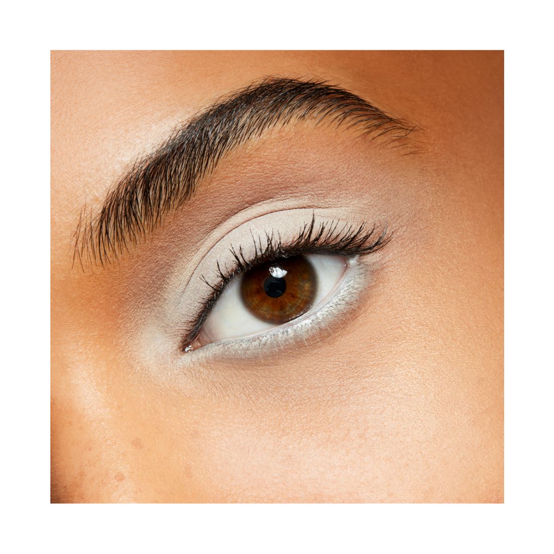 Mac Matte Eye Shadow