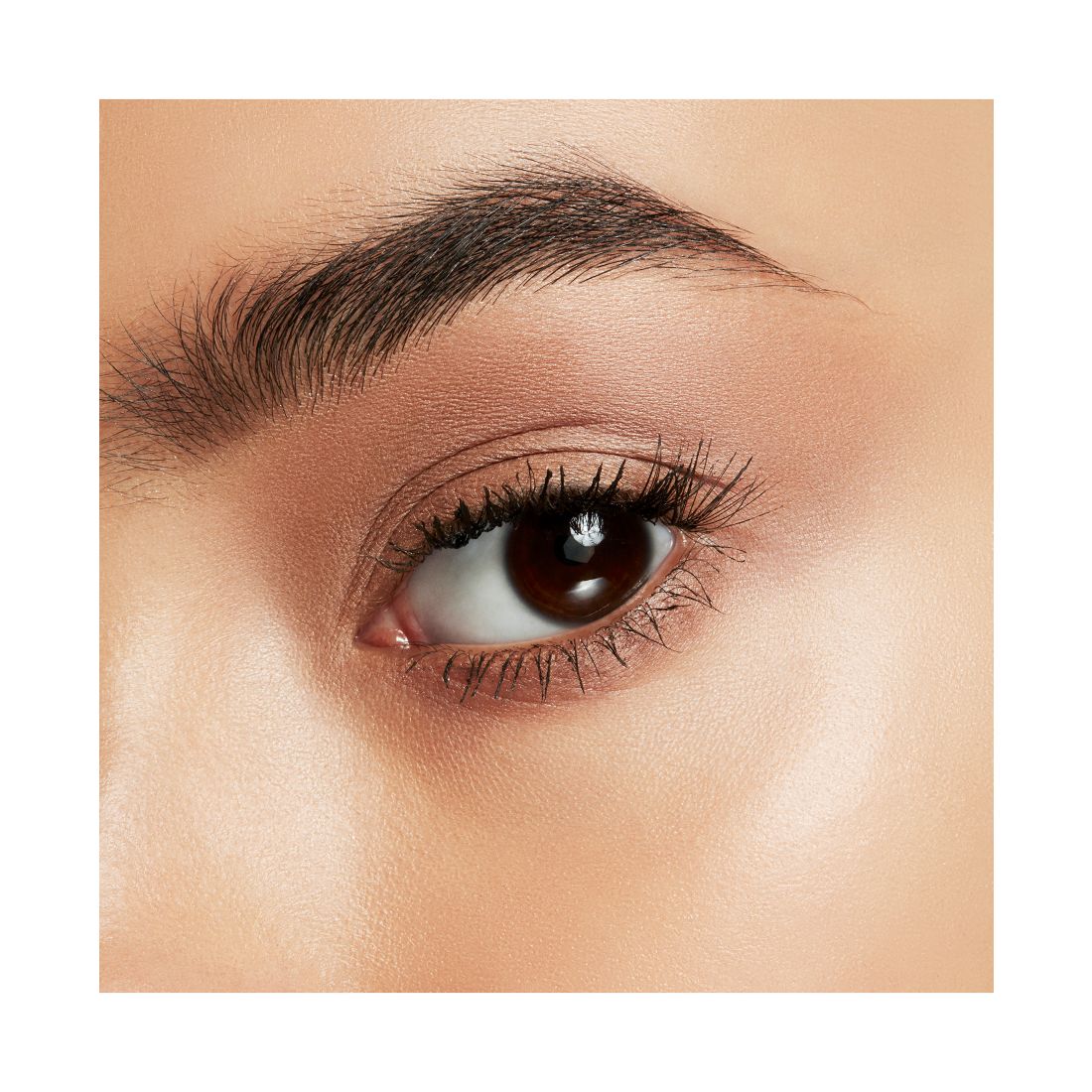 Mac Pro Longwear Paint Pot Cream Eyeshadow