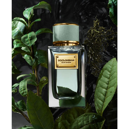 Dolce&Gabbana Velvet Infusion Eau de Parfum, 3.3 oz.