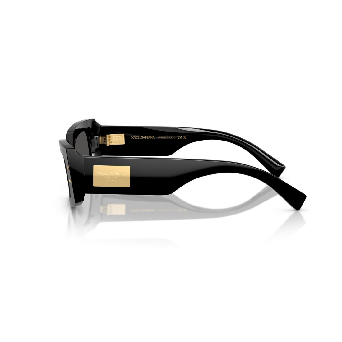 Dolce&Gabbana Women's Sunglasses DG4479