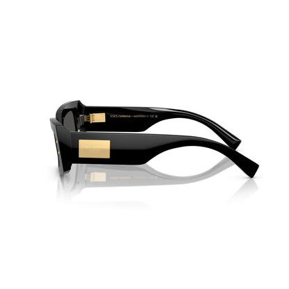 Dolce&Gabbana Women's Sunglasses DG4479